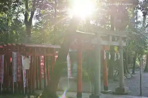 武蔵一宮氷川神社(埼玉県)