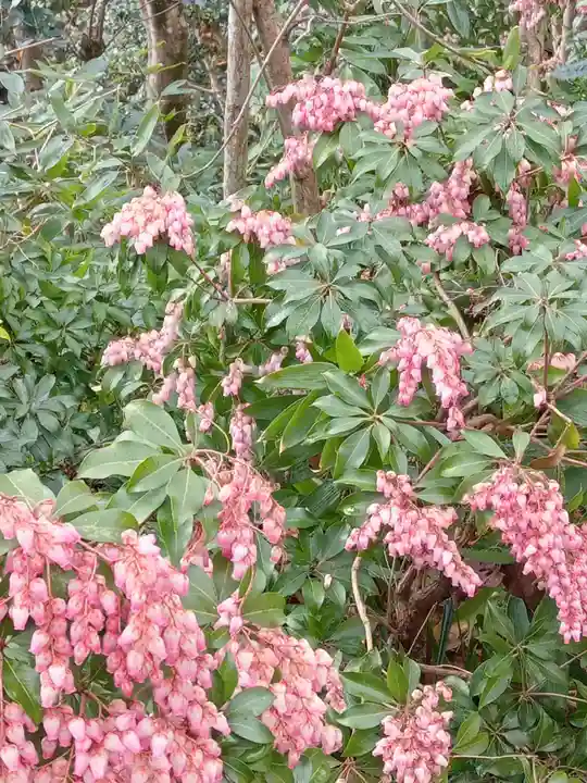 勝尾寺(大阪府)