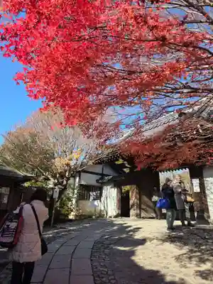 龍安寺(京都府)