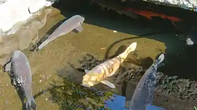 天祖諏訪神社(東京都)