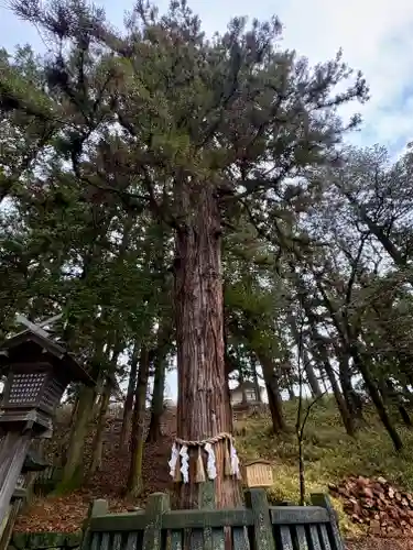諏訪大社下社春宮(長野県)