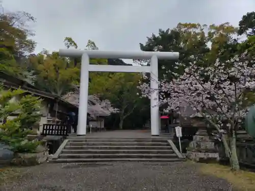 安房神社の鳥居