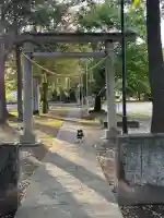 富士浅間神社の{uncategorized: "未分類", other: "その他", undefined: "問題あり", building: "その他建物", grave: "お墓", sacred_gate: "鳥居", guardian: "狛犬", statue: "像", buddha: "仏像", history: "歴史", nature: "自然", garden: "庭園", animal: "動物", pagoda: "塔", temizu: "手水舎", mountain_gate: "山門・神門", sanctuary: "本殿・本堂", subordinate: "末社・摂社", art: "芸術", scenery: "景色", jizo: "地蔵", ema: "絵馬", goshuin: "御朱印", omikuji: "おみくじ", items: "授与品その他", amulet: "お守り", goshuincho: "御朱印帳", eats: "食事", festival: "お祭り", votive_dance: "神楽", shichigosan: "七五三参", wedding: "結婚式", experience: "体験その他", initially: "初詣", around: "周辺", anti_infection: "感染症対策"}