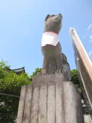 箭弓稲荷神社の狛犬