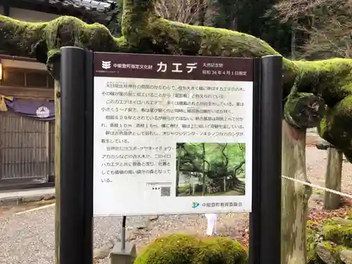 天日陰比咩神社の建物その他