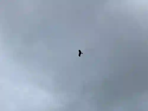 舞子六神社／まいこむの宮(兵庫県)