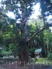 配志和神社(岩手県)