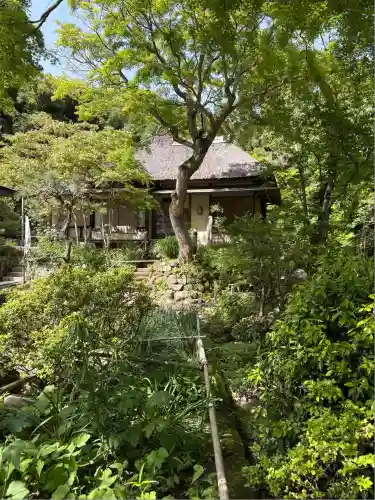 浄智寺(神奈川県)