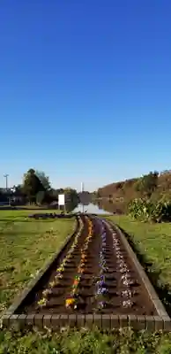 稲荷神社の周辺