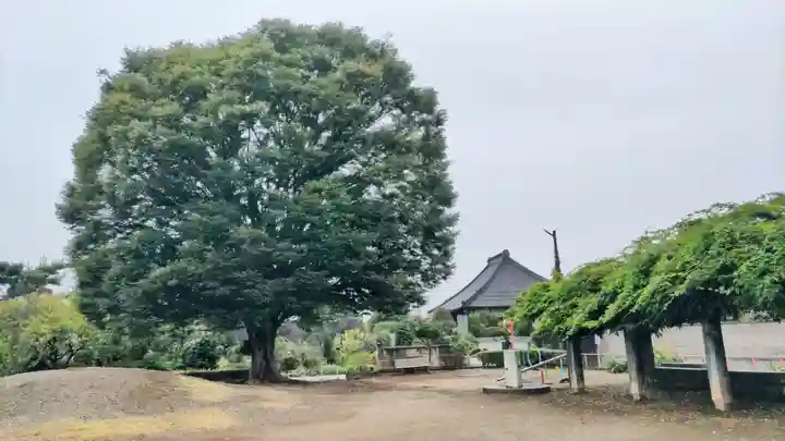 遍照寺(群馬県)