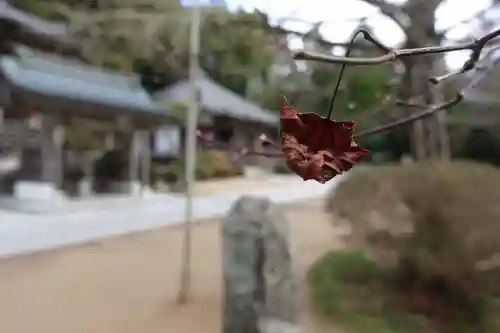 花山院菩提寺の景色