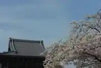 金蔵寺(千葉県)