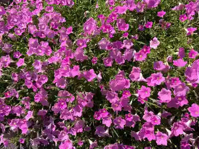 上宮天満宮(大阪府)