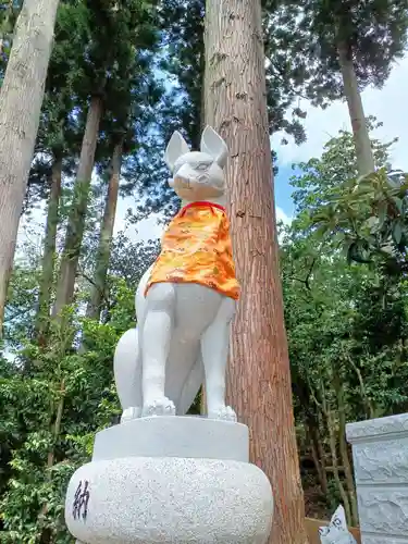 高屋敷稲荷神社の狛犬