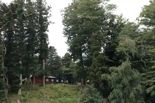 田村神社の景色