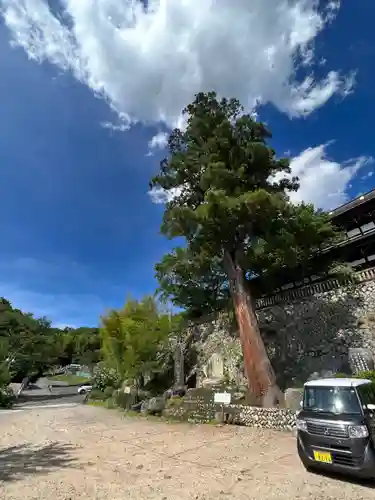 関善光寺のその他建物