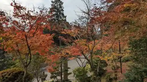 三室戸寺(京都府)