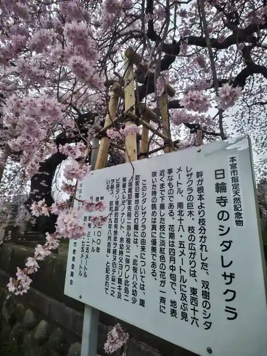 日輪寺(福島県)