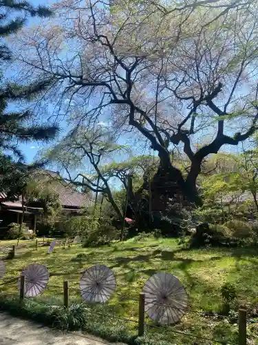 光丸山 法輪寺(栃木県)