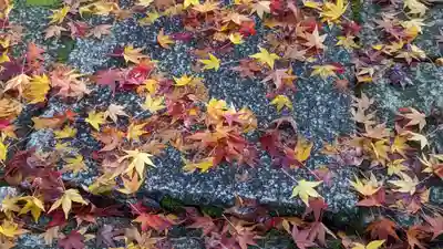 来迎院(京都府)