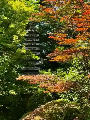 天球院(京都府)