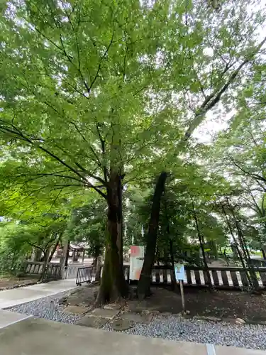 布多天神社の自然