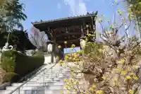 日輪寺の山門・神門