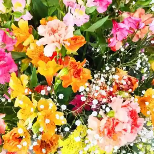 彌彦神社　(伊夜日子神社)の手水舎