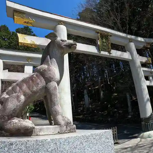 三峯神社の狛犬