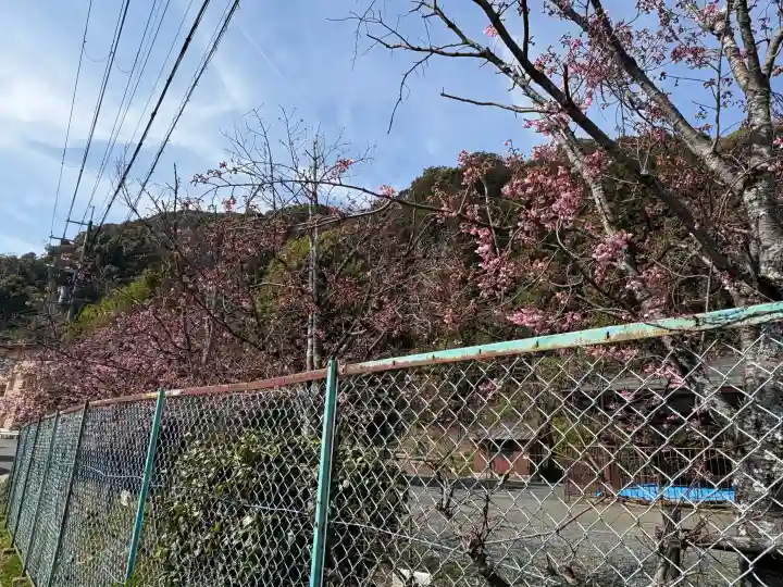 松尾大社の{uncategorized: "未分類", other: "その他", undefined: "問題あり", building: "その他建物", grave: "お墓", sacred_gate: "鳥居", guardian: "狛犬", statue: "像", buddha: "仏像", history: "歴史", nature: "自然", garden: "庭園", animal: "動物", pagoda: "塔", temizu: "手水舎", mountain_gate: "山門・神門", sanctuary: "本殿・本堂", subordinate: "末社・摂社", art: "芸術", scenery: "景色", jizo: "地蔵", ema: "絵馬", goshuin: "御朱印", omikuji: "おみくじ", items: "授与品その他", amulet: "お守り", goshuincho: "御朱印帳", eats: "食事", festival: "お祭り", votive_dance: "神楽", shichigosan: "七五三参", wedding: "結婚式", experience: "体験その他", initially: "初詣", around: "周辺", anti_infection: "感染症対策"}