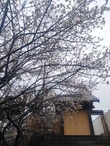 長泉寺(東京都)