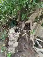 為朝神社(頭殿神社)の{uncategorized: "未分類", other: "その他", undefined: "問題あり", building: "その他建物", grave: "お墓", sacred_gate: "鳥居", guardian: "狛犬", statue: "像", buddha: "仏像", history: "歴史", nature: "自然", garden: "庭園", animal: "動物", pagoda: "塔", temizu: "手水舎", mountain_gate: "山門・神門", sanctuary: "本殿・本堂", subordinate: "末社・摂社", art: "芸術", scenery: "景色", jizo: "地蔵", ema: "絵馬", goshuin: "御朱印", omikuji: "おみくじ", items: "授与品その他", amulet: "お守り", goshuincho: "御朱印帳", eats: "食事", festival: "お祭り", votive_dance: "神楽", shichigosan: "七五三参", wedding: "結婚式", experience: "体験その他", initially: "初詣", around: "周辺", anti_infection: "感染症対策"}