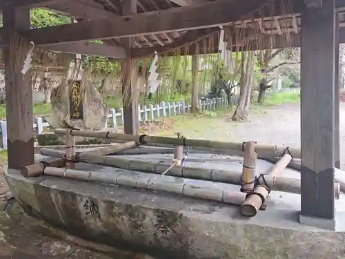 大分八幡宮(福岡県)