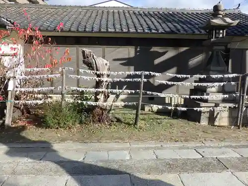 澪標住吉神社のおみくじ