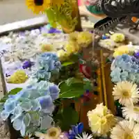 札幌諏訪神社の手水舎