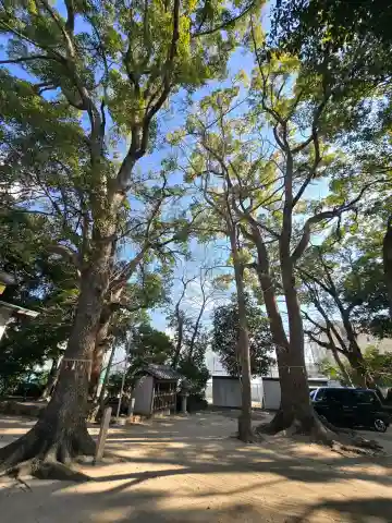 蔵人素盞嗚神社の{uncategorized: "未分類", other: "その他", undefined: "問題あり", building: "その他建物", grave: "お墓", sacred_gate: "鳥居", guardian: "狛犬", statue: "像", buddha: "仏像", history: "歴史", nature: "自然", garden: "庭園", animal: "動物", pagoda: "塔", temizu: "手水舎", mountain_gate: "山門・神門", sanctuary: "本殿・本堂", subordinate: "末社・摂社", art: "芸術", scenery: "景色", jizo: "地蔵", ema: "絵馬", goshuin: "御朱印", omikuji: "おみくじ", items: "授与品その他", amulet: "お守り", goshuincho: "御朱印帳", eats: "食事", festival: "お祭り", votive_dance: "神楽", shichigosan: "七五三参", wedding: "結婚式", experience: "体験その他", initially: "初詣", around: "周辺", anti_infection: "感染症対策"}