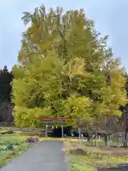 銀杏三寶大荒神(長野県)