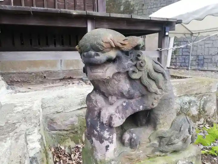 杉山社(帷子町杉山社・久保杉山神社)の狛犬