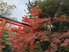 賀茂御祖神社（下鴨神社）(京都府)