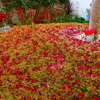 寿量山 速成寺の自然