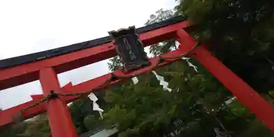 月読神社（松尾大社摂社）の鳥居