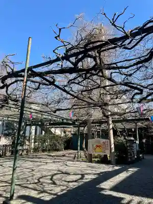 國領神社の{uncategorized: "未分類", other: "その他", undefined: "問題あり", building: "その他建物", grave: "お墓", sacred_gate: "鳥居", guardian: "狛犬", statue: "像", buddha: "仏像", history: "歴史", nature: "自然", garden: "庭園", animal: "動物", pagoda: "塔", temizu: "手水舎", mountain_gate: "山門・神門", sanctuary: "本殿・本堂", subordinate: "末社・摂社", art: "芸術", scenery: "景色", jizo: "地蔵", ema: "絵馬", goshuin: "御朱印", omikuji: "おみくじ", items: "授与品その他", amulet: "お守り", goshuincho: "御朱印帳", eats: "食事", festival: "お祭り", votive_dance: "神楽", shichigosan: "七五三参", wedding: "結婚式", experience: "体験その他", initially: "初詣", around: "周辺", anti_infection: "感染症対策"}