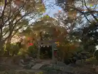 白幡八幡神社(千葉県)