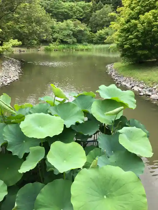 白水阿弥陀堂の自然
