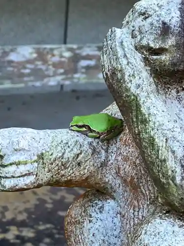 興禅寺(和歌山県)
