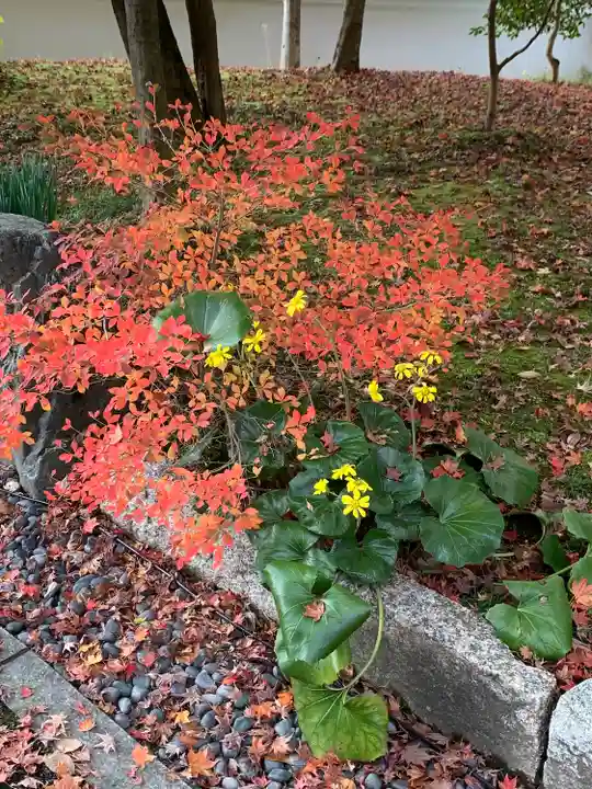 禅林寺(永観堂)の自然