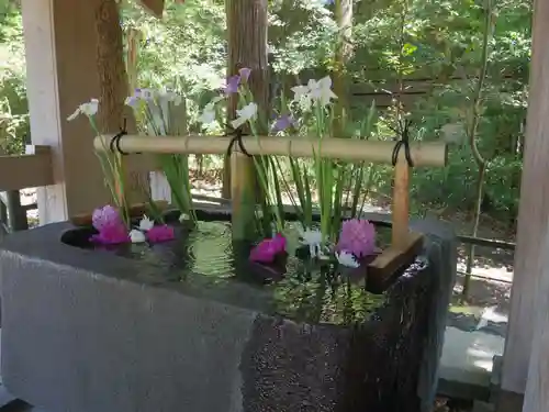 鶴岡八幡宮の手水舎