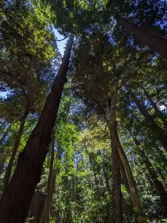 鹿島神宮(茨城県)