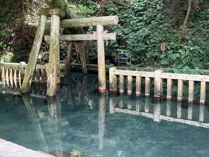 鹿島神宮(茨城県)