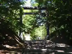 北海道神宮の鳥居